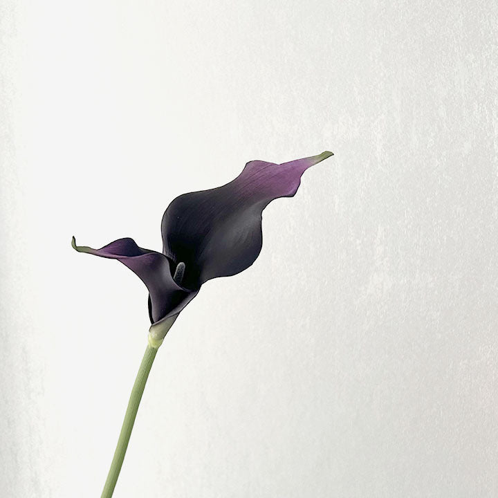 mixed-color-artificial-calla-lily