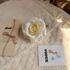 cream white rose flower head