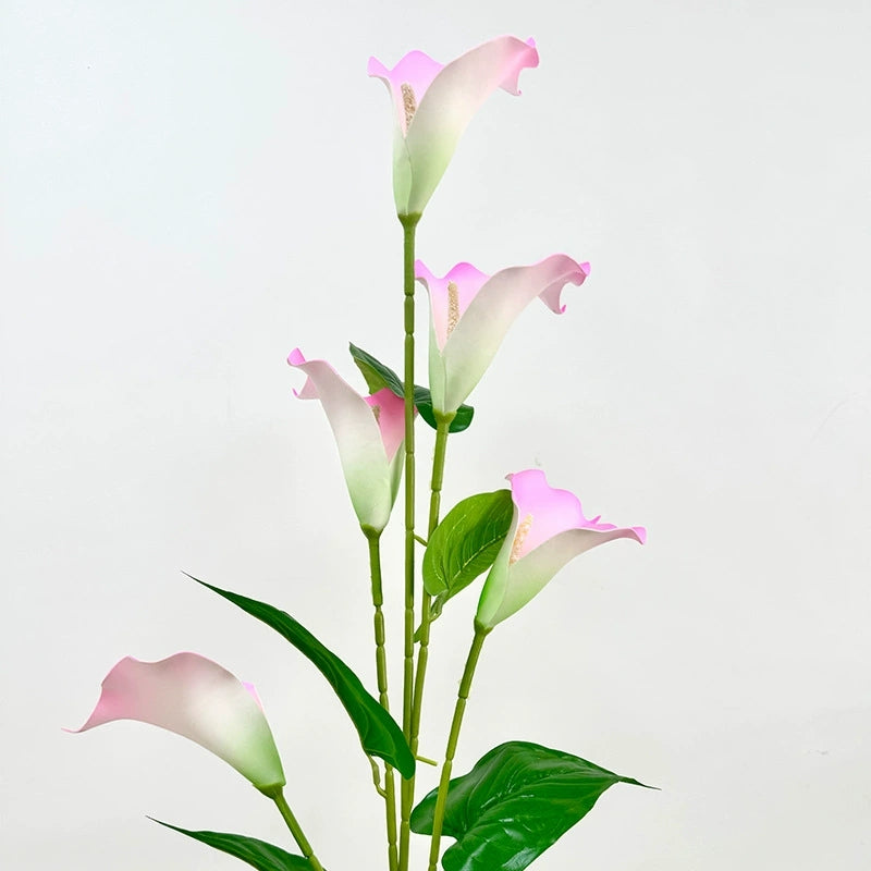 Close up shot of white artificial calla lily bloom
