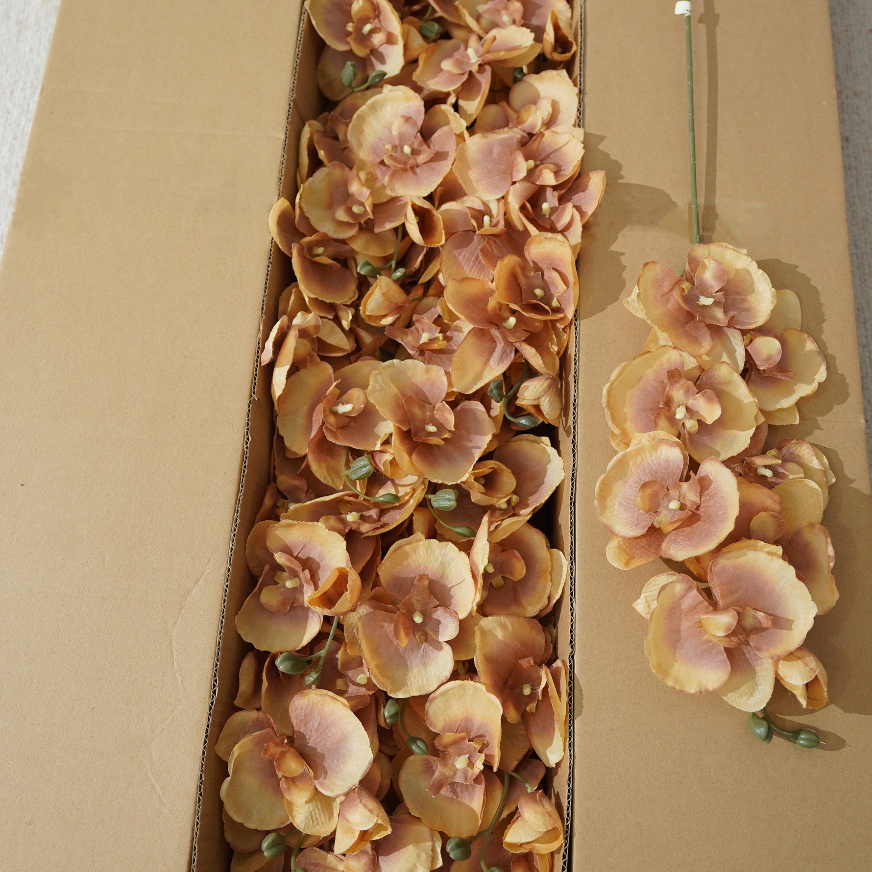 Wholesale Silk Butterfly Orchid For Florists