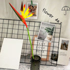 wire_mesh_display_fake_tropical_floral_stems