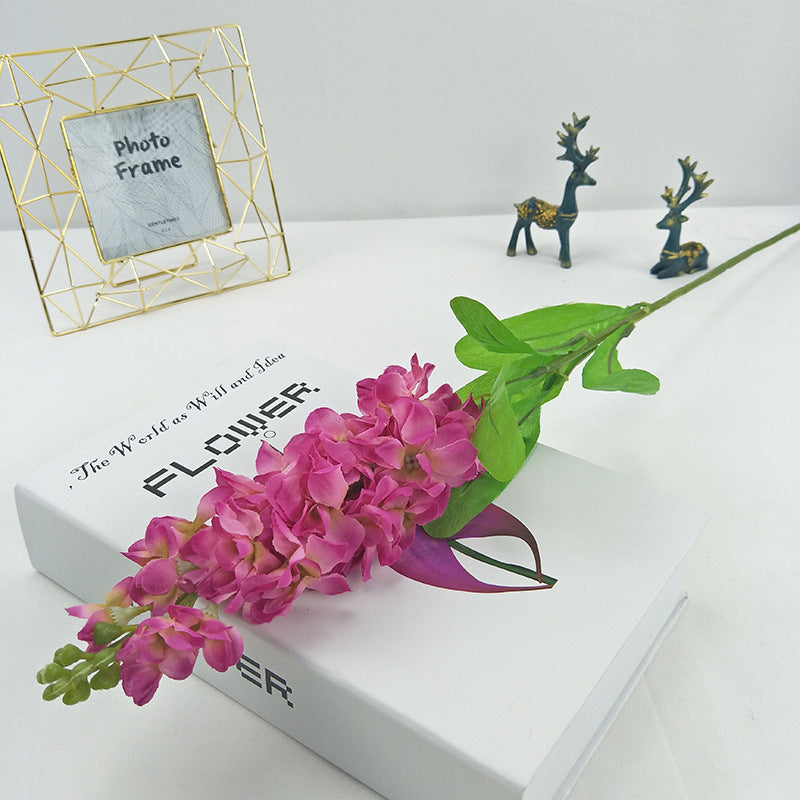 studio_shot_fuchsia_pink_larkspur