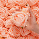 colorful rose DIY flower material