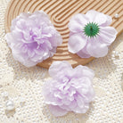 Colorful Flower Heads Collection