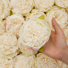 realistic-peony-bloom
