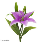 realistic-lily-bloom-stem