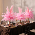 Fine feather filaments close up on pastel pink ostrich plume arrangement