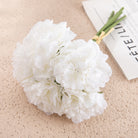 multi_shade_peony_decor_living_scene