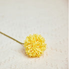 bouquet_arrangement_pompom_flower