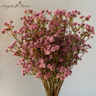 dried_baby_breath_orange_bunch