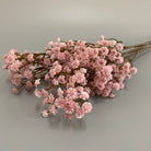 dried_baby_breath_brown_natural