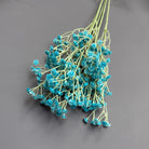 dried_gypsophila_cream_offwhite_bouquet