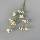 dried_baby_breath_lavender_bunch