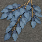 preserved ruscus leaf bundle for wedding bouquet