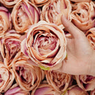 colorful artificial rose flower head