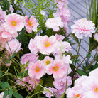 Chic Garden Wedding Ground Floral Design with Soft Pink Blooms