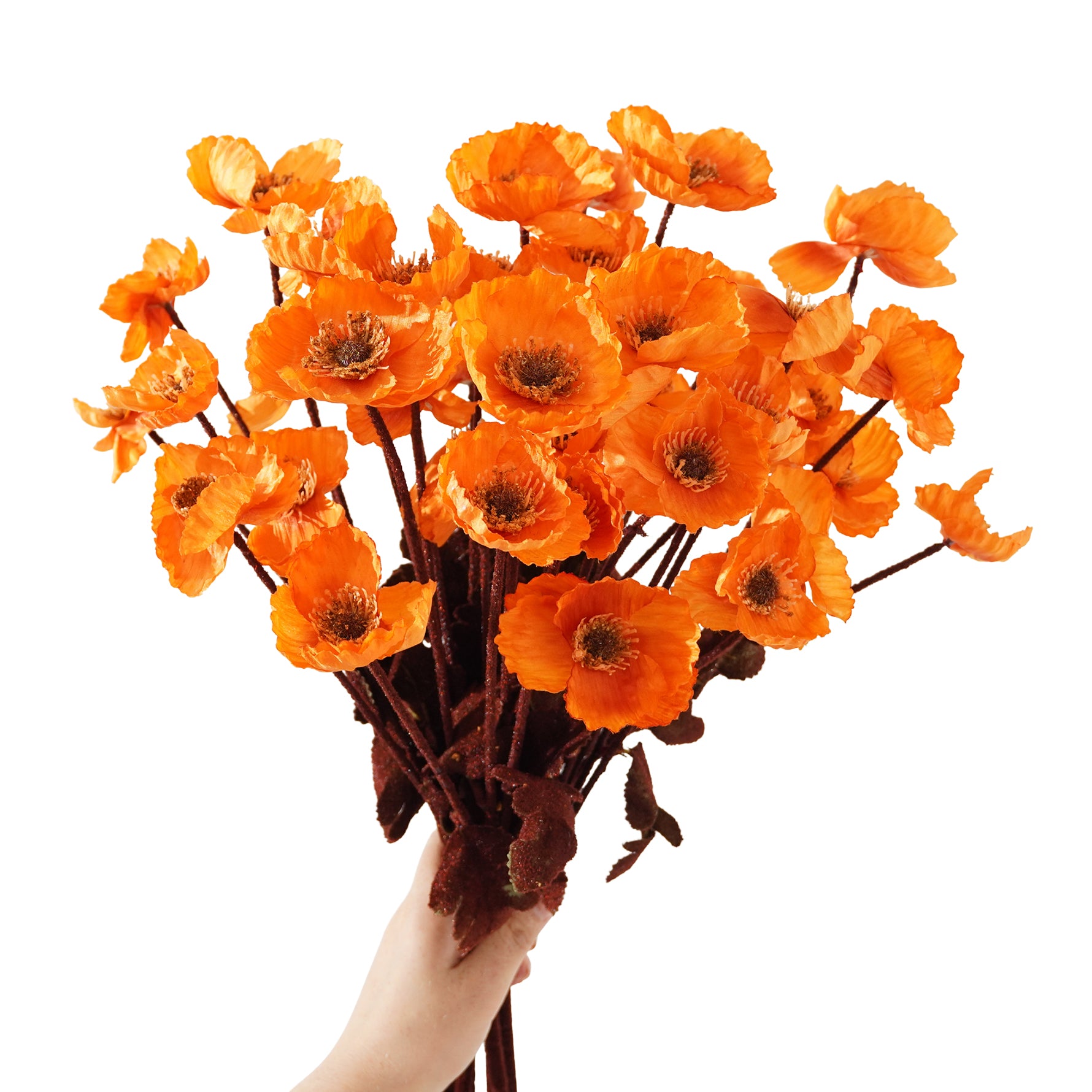 neutral-rustic-poppy-flowers