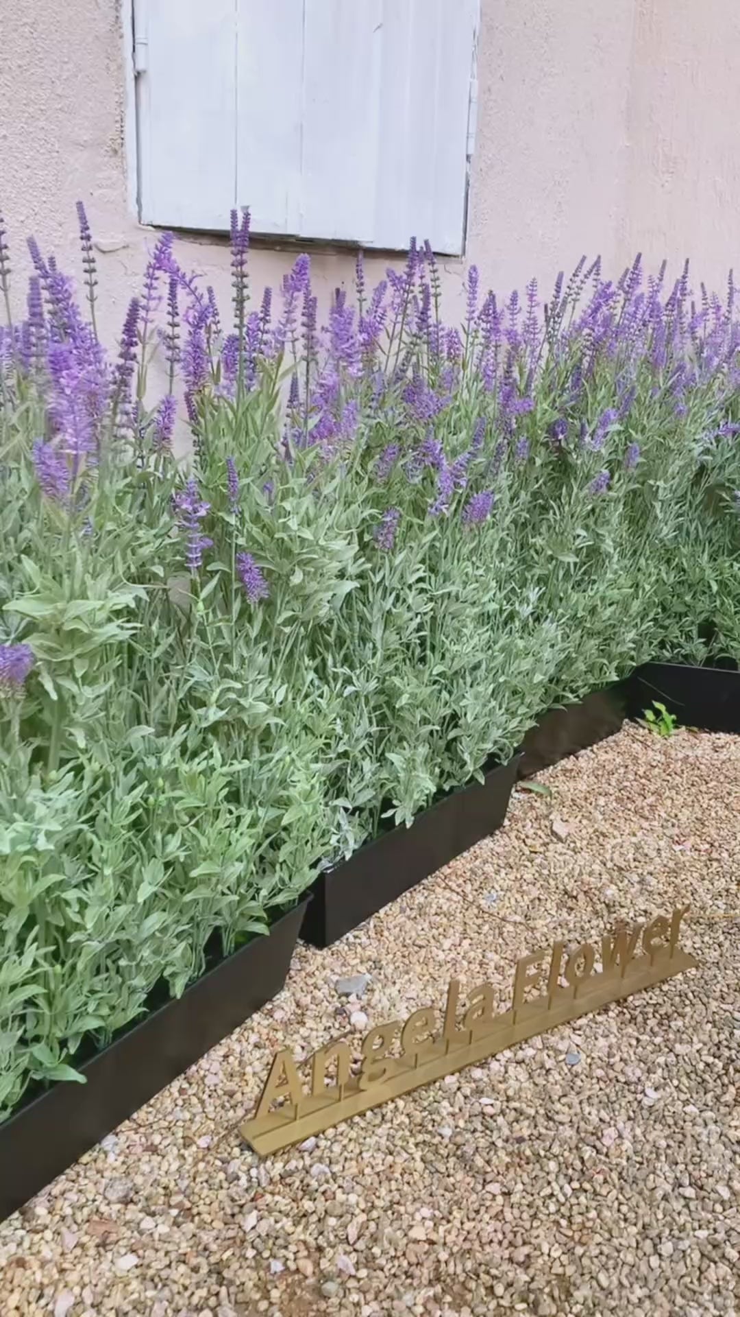 A5620221 Large 2.95ft Purple Lavender Artificial Bonsai Potted