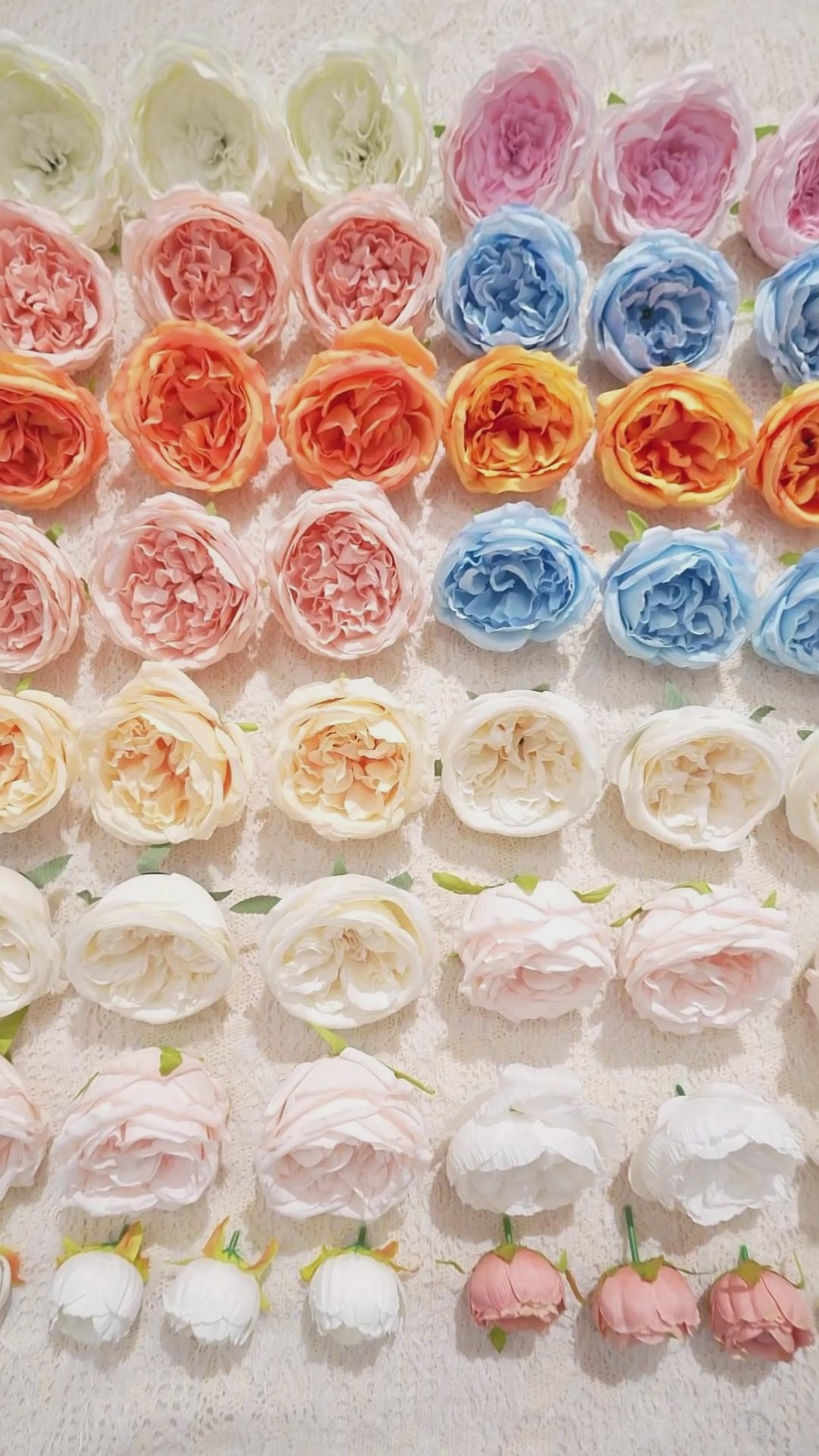 cream artificial austin rose heads bulk