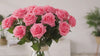 silk-pink-roses-for-home-decor