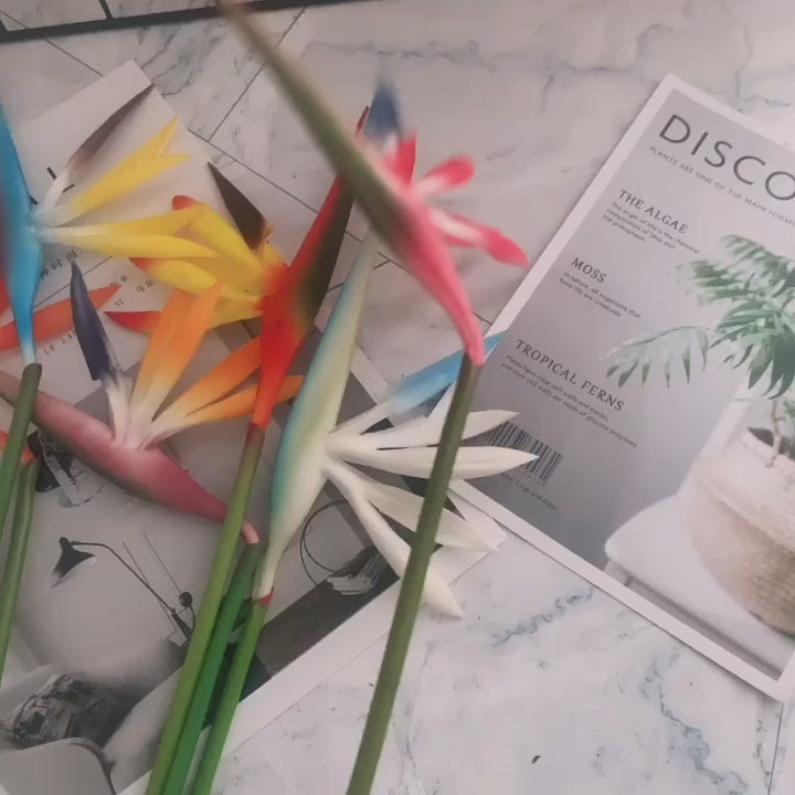 multicolor_faux_strelitzia_flower_collection