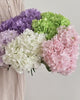 white-silk-hydrangea-bloom-vase-arrangement