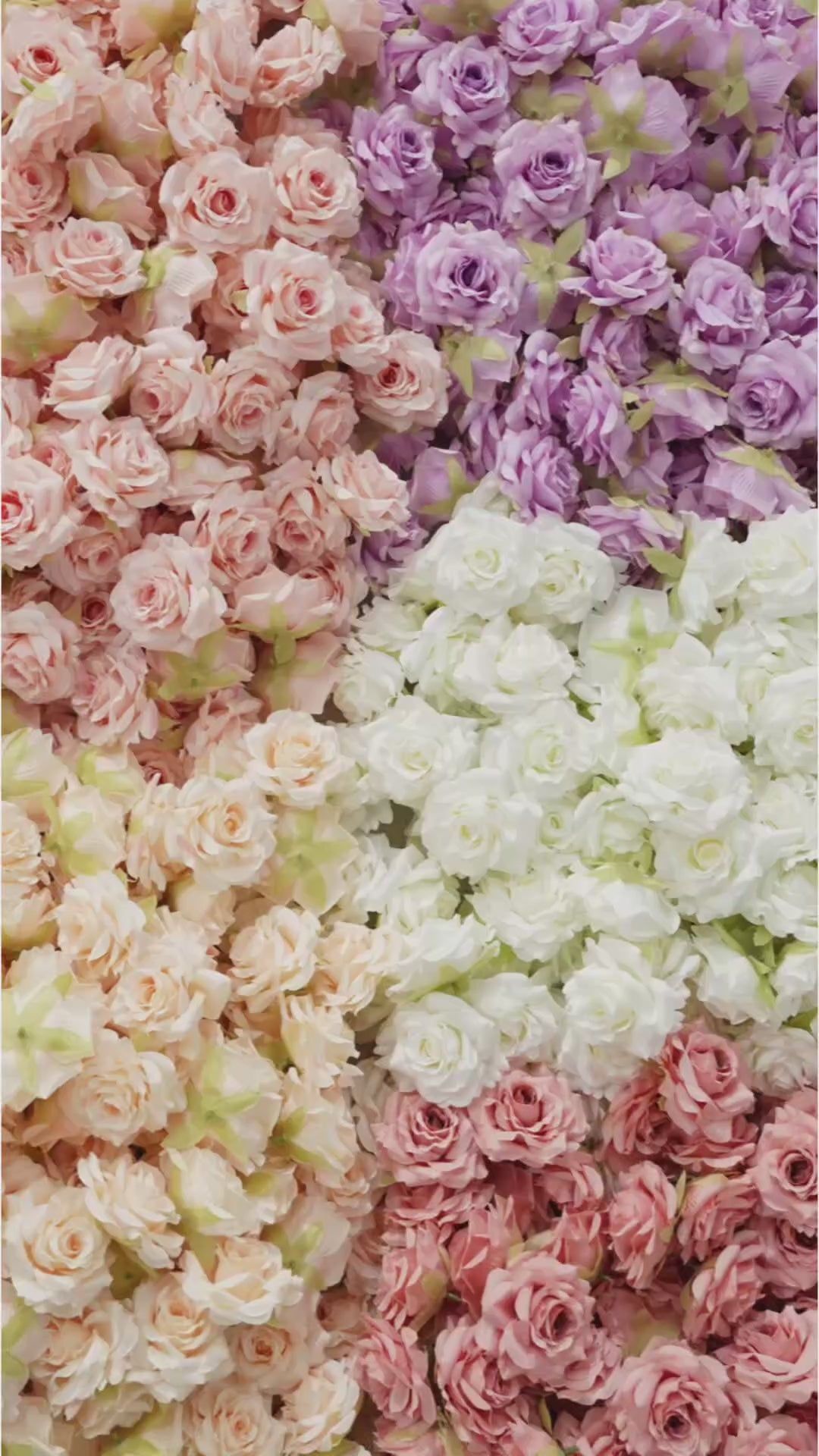 cream-white-silk-rose-head-wall-backdrop