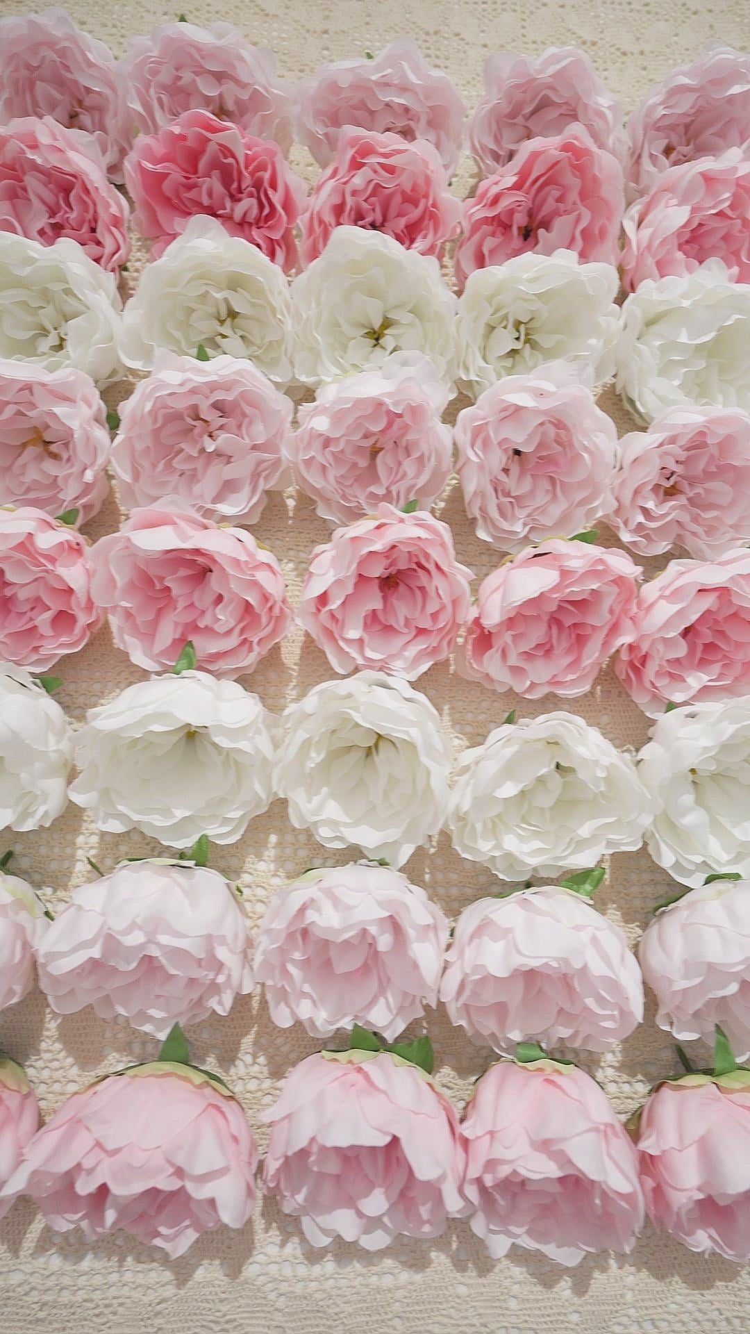 White faux peony bloom close up photo