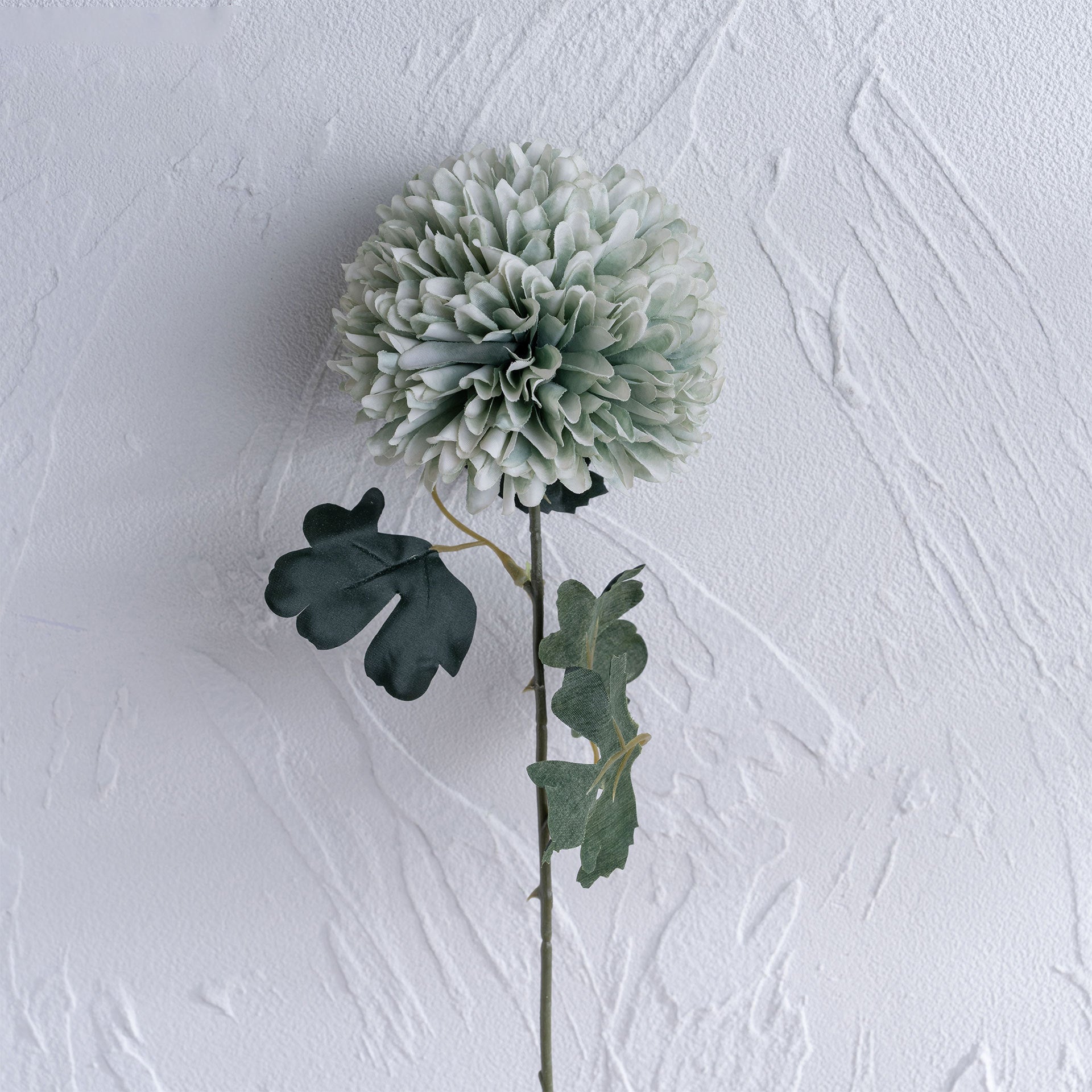 muted_pastel_globe_chrysanthemum_flat_lay