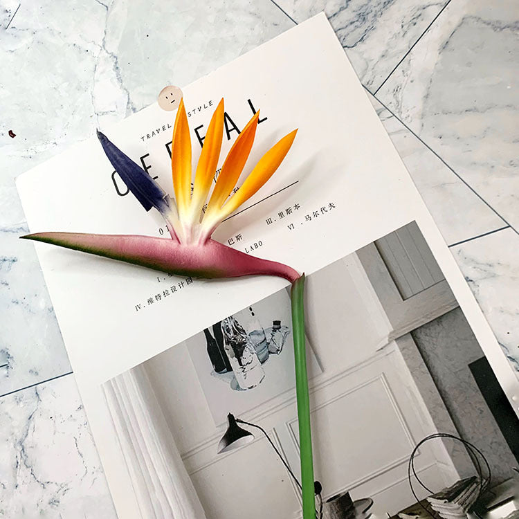 creamy_white_strelitzia_artificial_stem_view