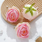 large rose flower head