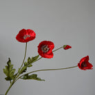 dusty_pink_artificial_poppy_stem