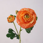 silk_ranunculus_pastel_peach_bloom