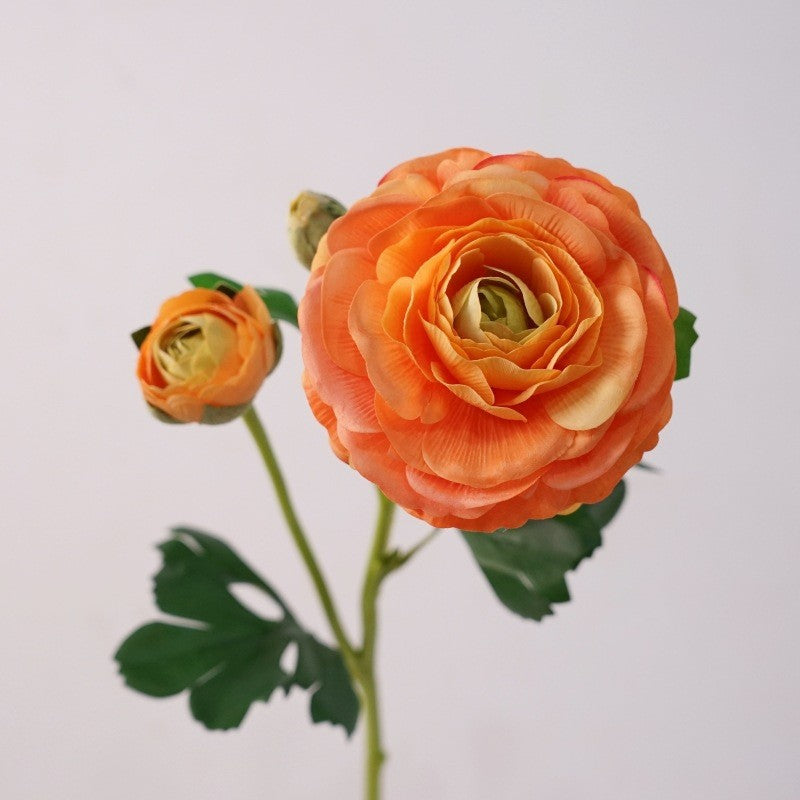 silk_ranunculus_pastel_peach_bloom