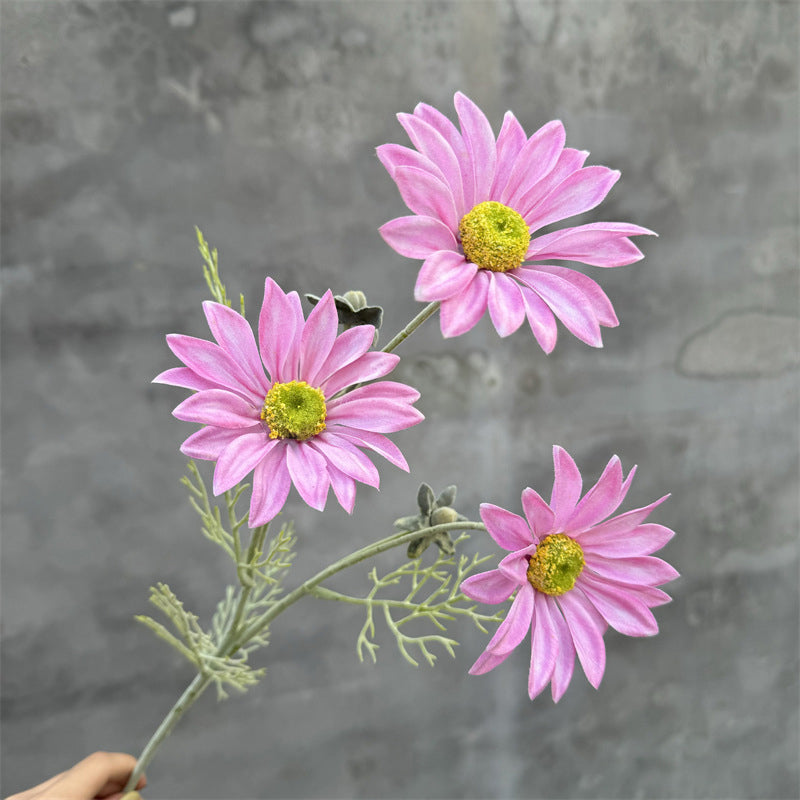 boho_daisy_diy_material