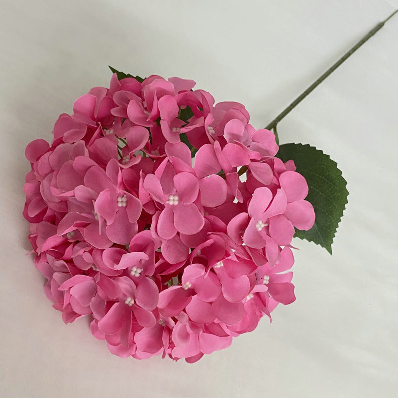 hydrangea-floral-design-supply