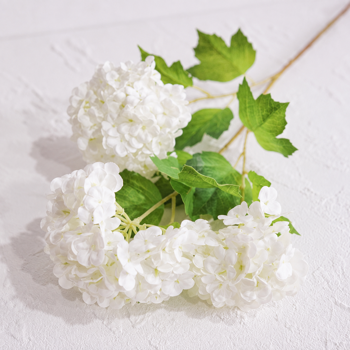 Green white hydrangea stem for event backdrop florals