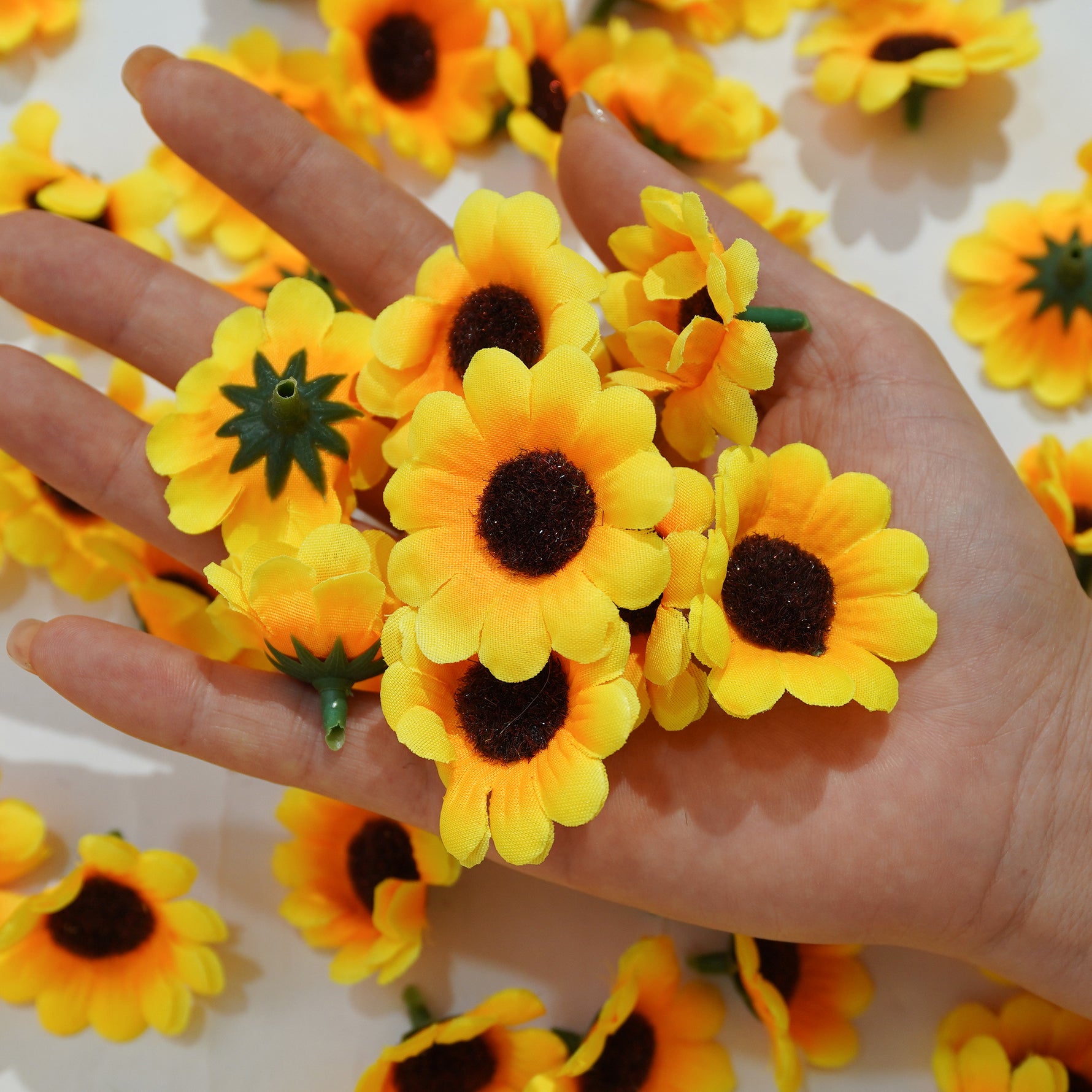sunflower_head_unboxing_video