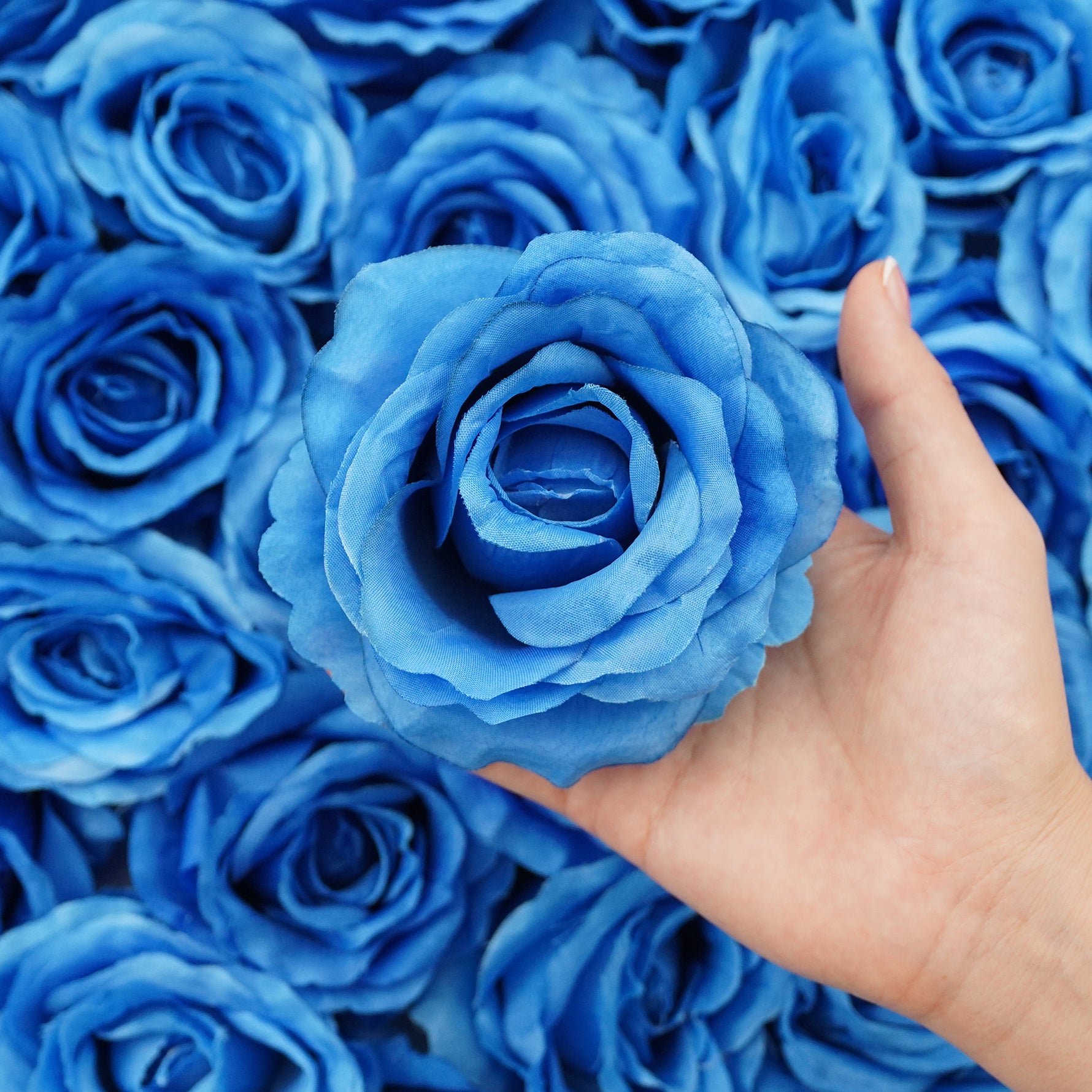 Assorted rose flower heads for professional floral decoration
