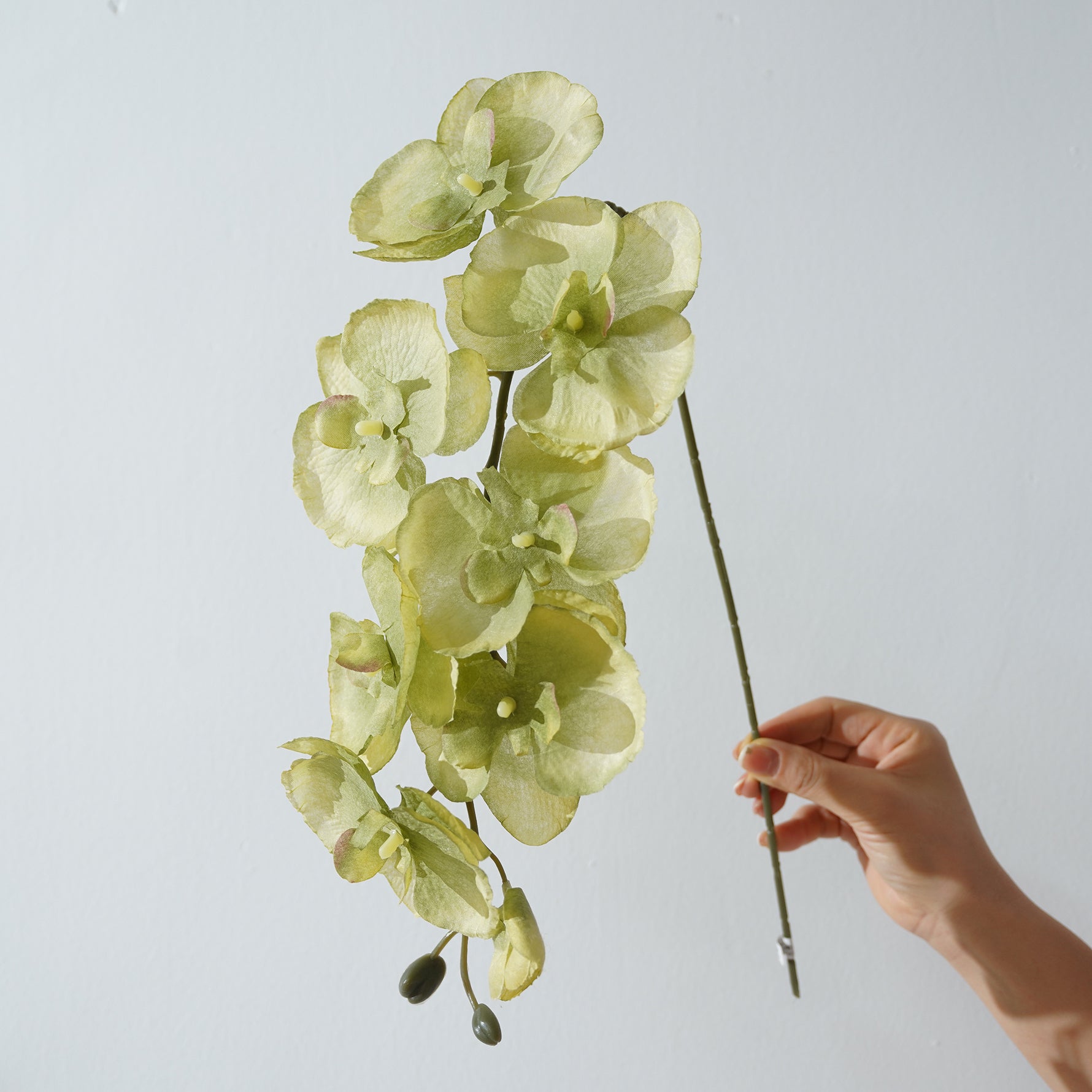 Bright Blue Fake Phalaenopsis Orchid Stem