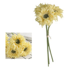 single_bundle_frilled_gerbera_props