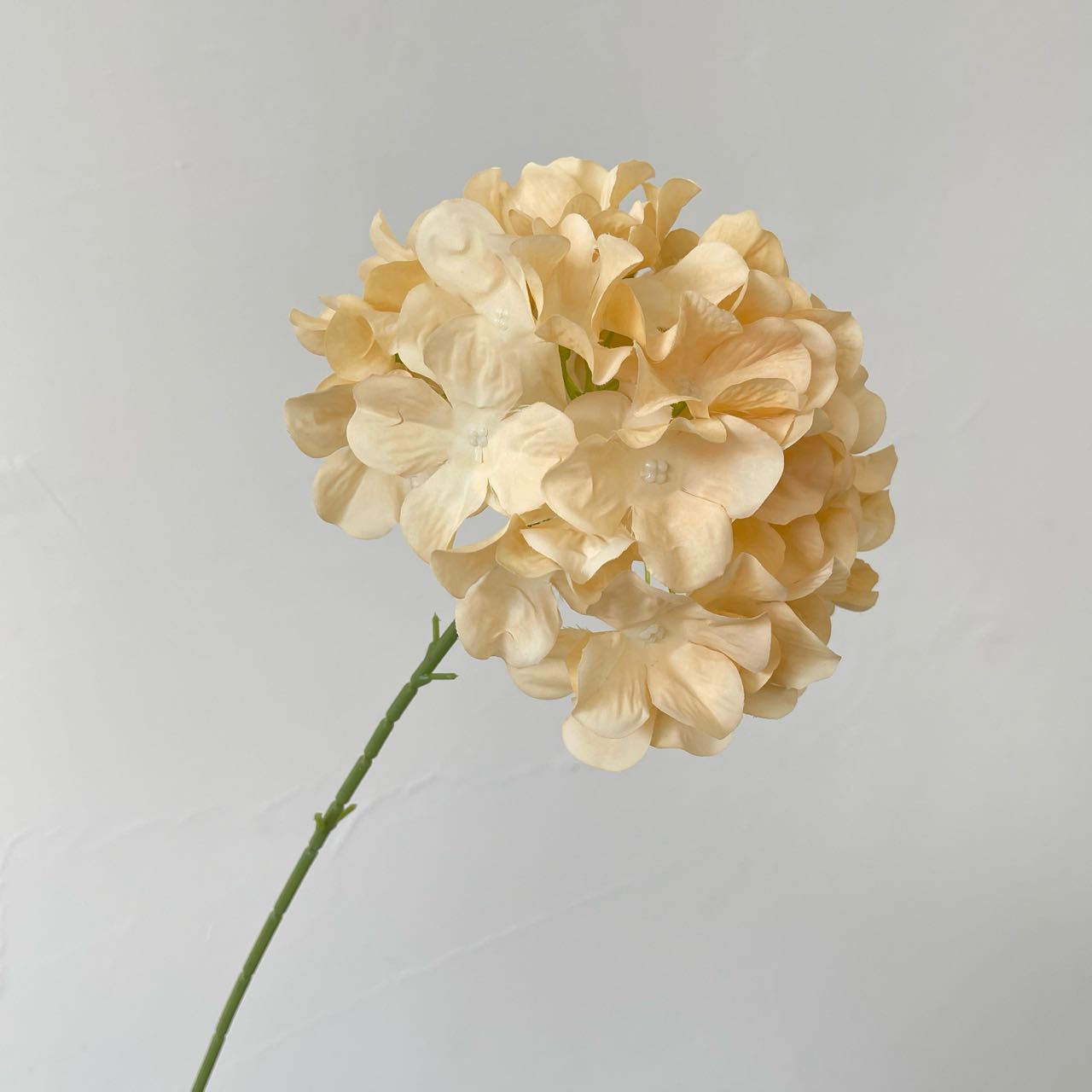 multi-tone-hydrangea-collection