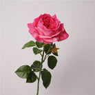 golden_yellow_garden_rose_hand_display