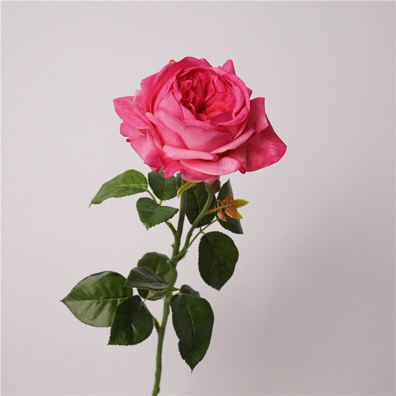 golden_yellow_garden_rose_hand_display