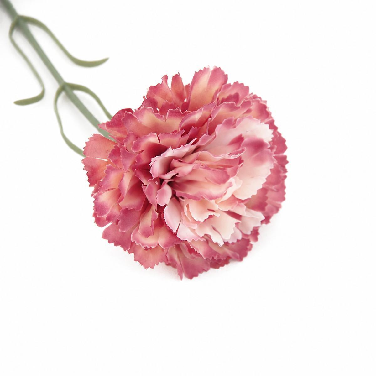 two_tone_carnation_buffet_decor