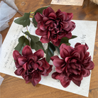 smoky_pink_dahlia