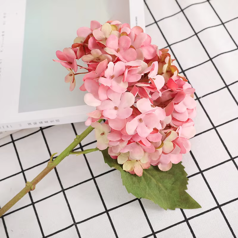 hydrangea_sample_display