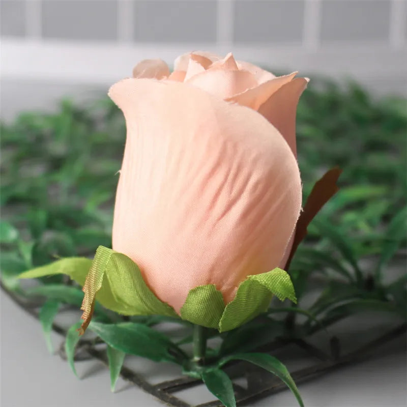 champagne pink flower head 