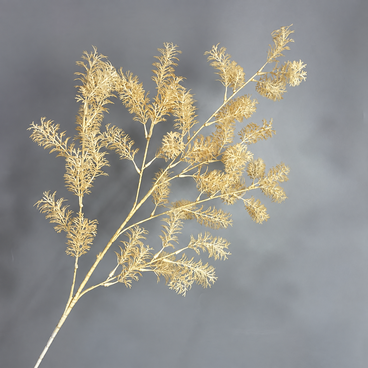 misty_grass_bloom_detail