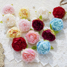 mixed-color-peony
